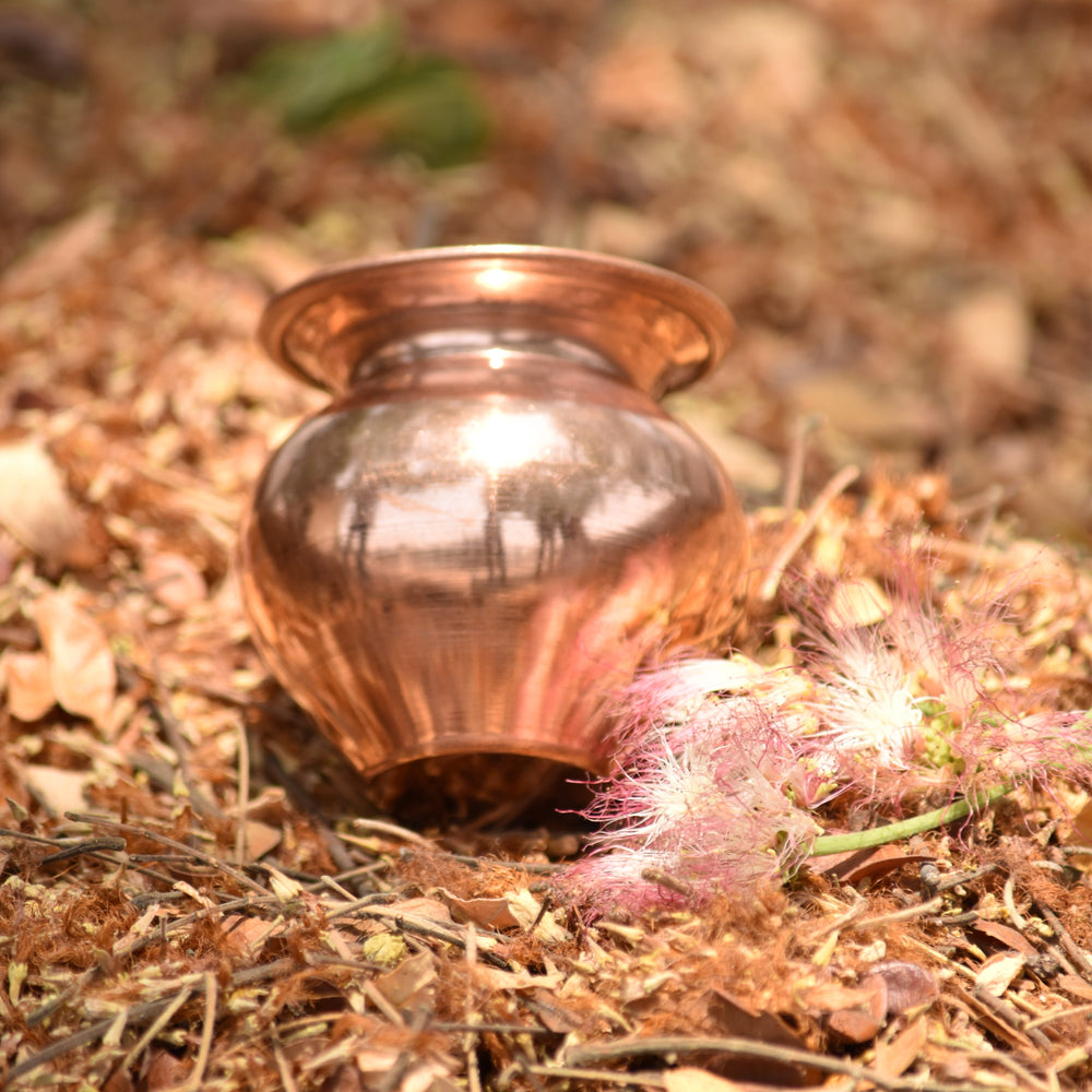 Copper Gadvi on dry grass with a blurred natural background