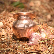 Copper Gadvi on dry grass with a blurred natural background