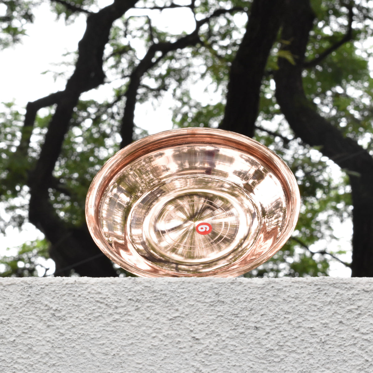 Copper plate on a stone ledge with trees in the background